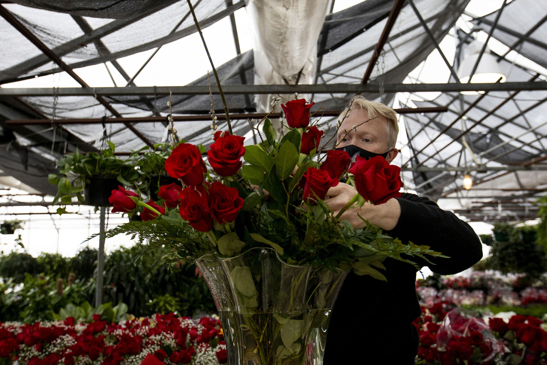 021321-news-vdayroses 01.jpg